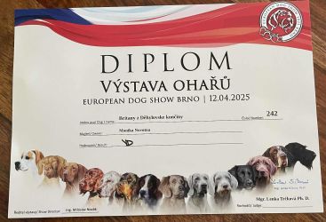 Vmarsk oha